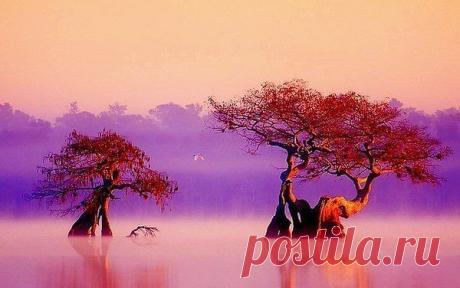 Интересные новости