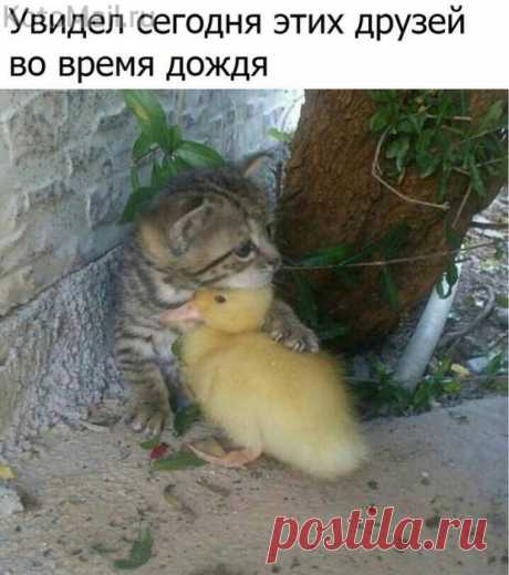 Уникальное фото