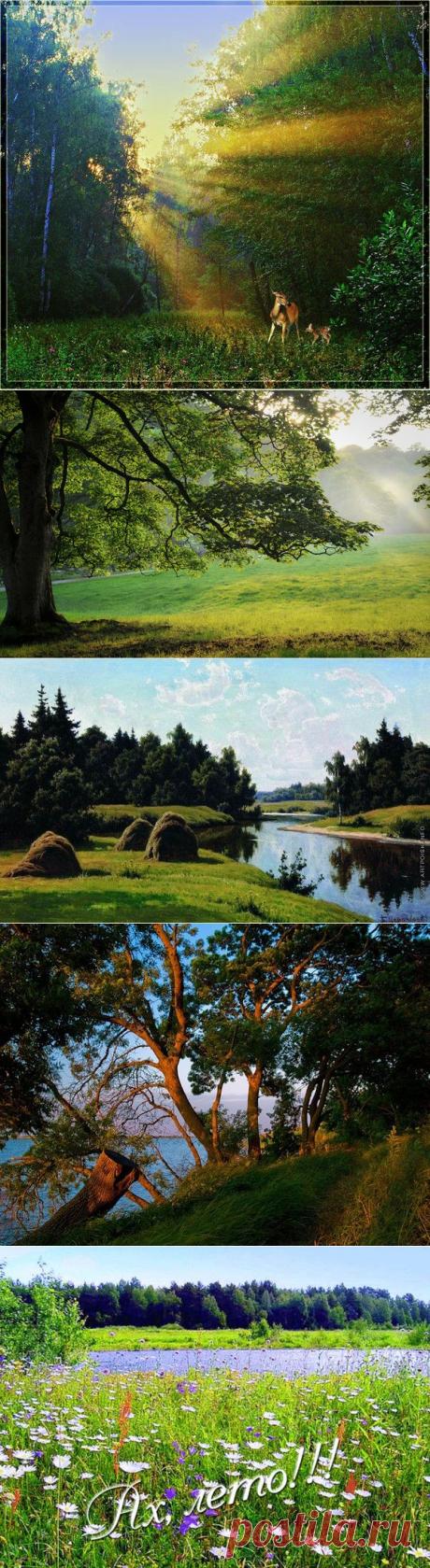 &quot;ЛЕТО-МАЛЕНЬКАЯ ЖИЗНЬ&quot; | КРАСИВЫЕ КАРТИНКИ. ВИДЕО. МИР, В КОТОРОМ МЫ ЖИВЕМ!