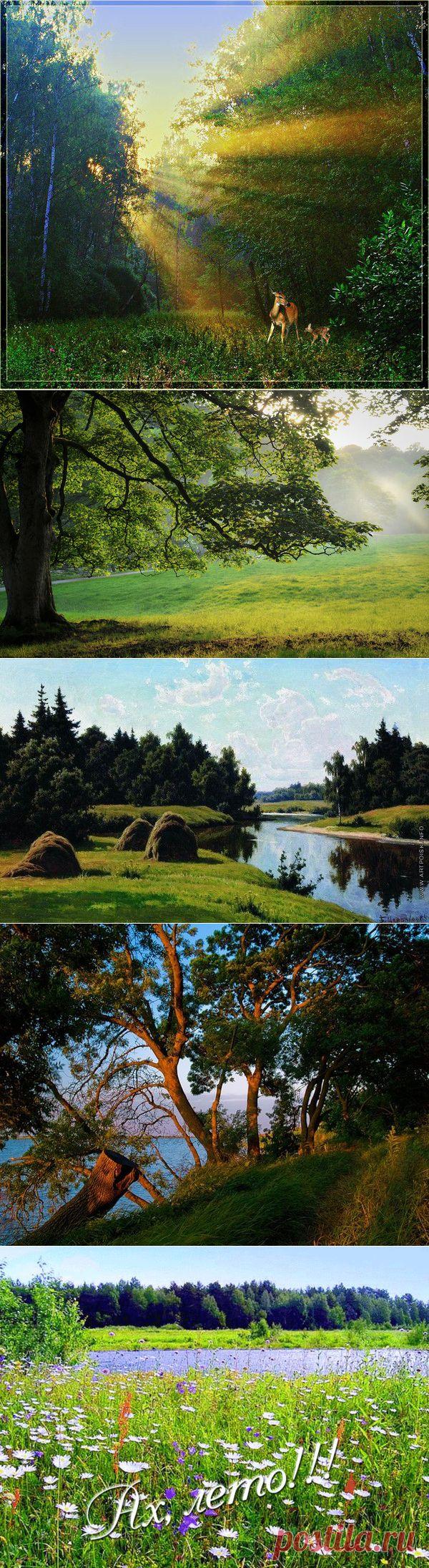 "ЛЕТО-МАЛЕНЬКАЯ ЖИЗНЬ" | КРАСИВЫЕ КАРТИНКИ. ВИДЕО. МИР, В КОТОРОМ МЫ ЖИВЕМ!