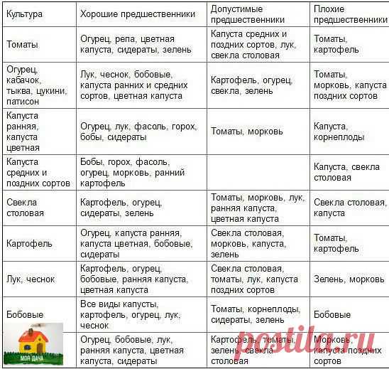ТАБЛИЦА ЧЕРЕДОВАНИЯ ПОСЕВОВ ОВОЩЕЙ В ОГОРОДЕ

Из севооборота овощей можно извлечь выгоду. Это и защита растений от вредителей и болезней, и сохранение плодородия почвы. Но недостаточно просто менять овощи местами от сезона к сезону, нужно учитывать, какие предшественники наиболее полезны для каждой овощной культуры.

При севообороте соблюдаем правило: не сеять одну и ту же культуру второй год на старое место. Это относится и к представителям одного и того же семейства куль...
