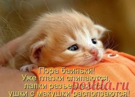 Интересные новости