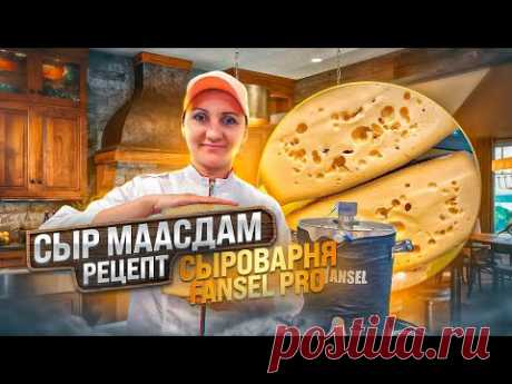 Сыр Маасдам рецепт / Первый в России бесплатный мастер класс по сыроделию / Сыроварня Fansel Pro