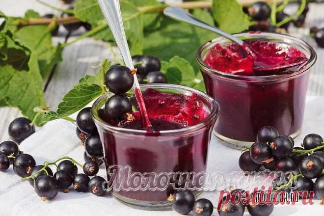 Черная смородина с сахаром без варки – 9 рецептов на зиму Способы заготовки ягод черной смородины без варки с добавлением сахара на зиму. Рецепты для хранения в погребе, холодильнике и морозилке.