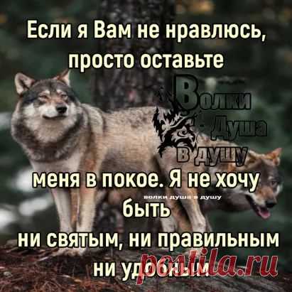 Социальная сеть Одноклассники. Общение с друзьями в ОК. Ваше место встречи с одноклассниками