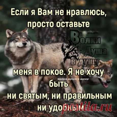 Социальная сеть Одноклассники. Общение с друзьями в ОК. Ваше место встречи с одноклассниками