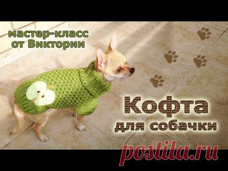Шьём и вяжем одежду для собак сами | Выкройки
