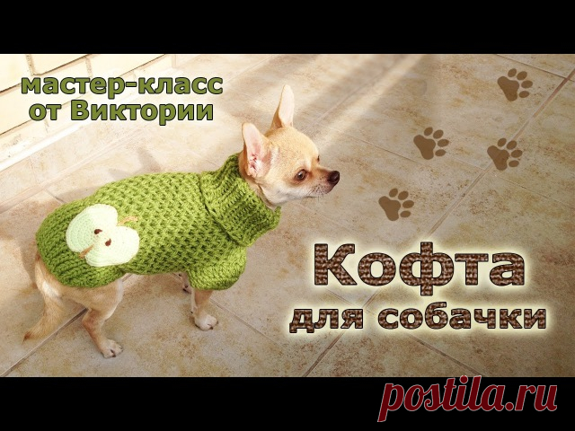 Шьём и вяжем одежду для собак сами | Выкройки