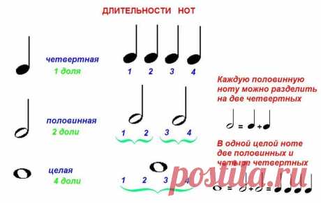 Длительности нот в картинках для детей (43 фото) ⭐ Забавник