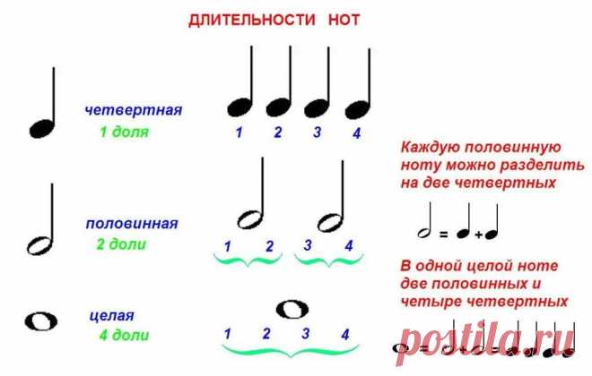 Длительности нот в картинках для детей (43 фото) ⭐ Забавник
