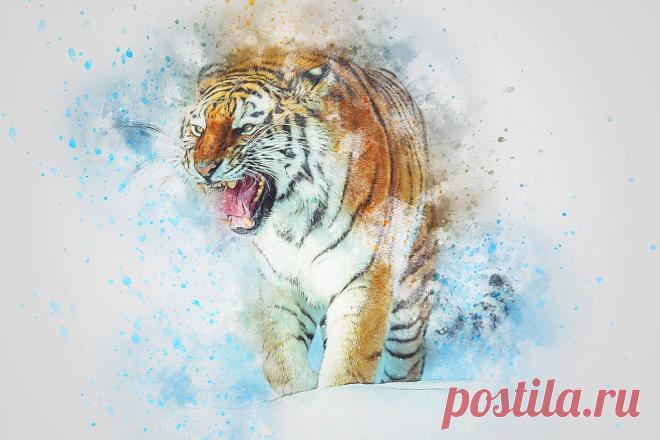 Тигр Рев Животных - Бесплатное изображение на Pixabay