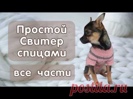 Как связать свитер спицами для собак и кошек, все части