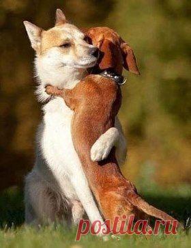 Одним словом ...... МАМА