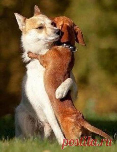 Одним словом ...... МАМА