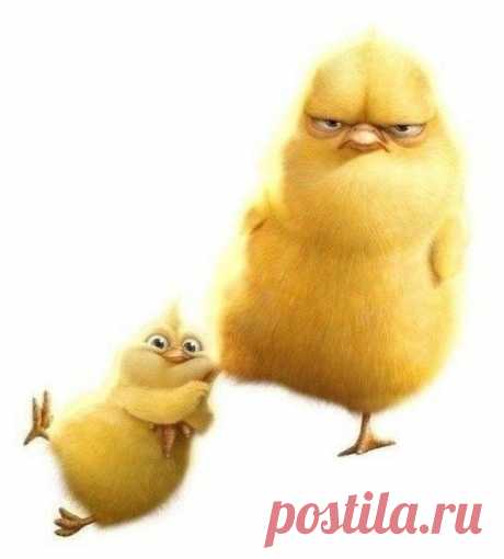 Когда делаем с ребенком уроки, я сижу как депутат: ни хрена не знаю, но лицо умное!)))