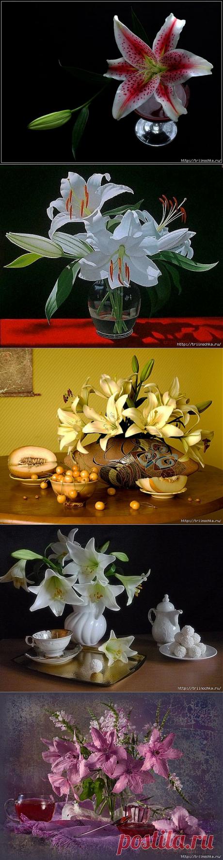 Лилии, аккорд и радости, и нежности.