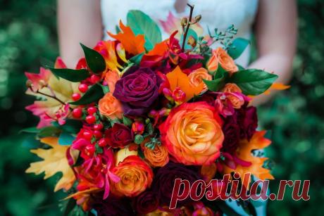 Красивые осенние букеты фото: смотрите и скачивайте изображения — Яндекс Картинки
