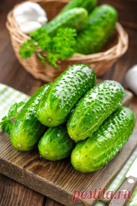 Вкусные огурчики. — Садоводка