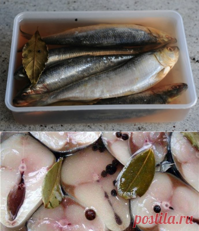 Как сделать слабосоленую селедку в домашних условиях, лучшие рецепты