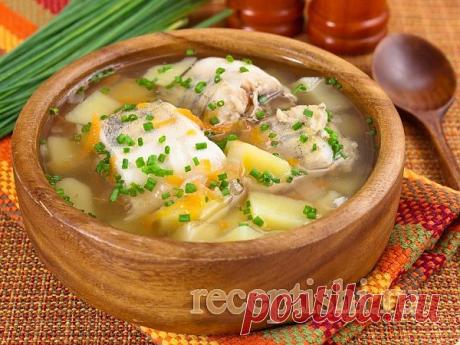 Уха домашняя из морской рыбы | Кулинарные рецепты с фото на Рецептыши.ру