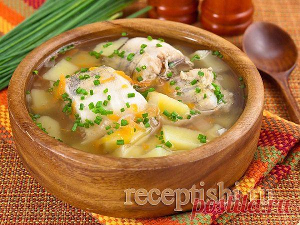 Уха домашняя из морской рыбы | Кулинарные рецепты с фото на Рецептыши.ру