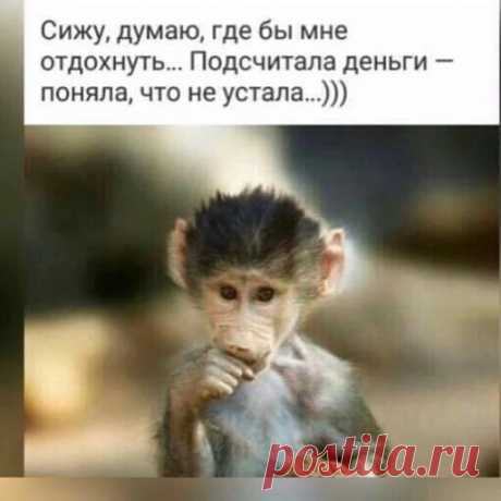 Смеха ради) Грусти вопреки! - Google+