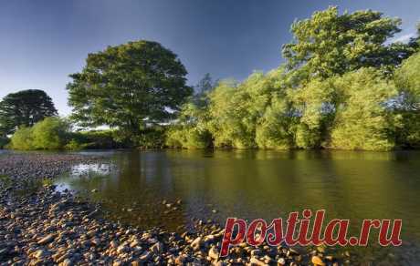 The Wind in the Willows | Flickr - Photo Sharing!