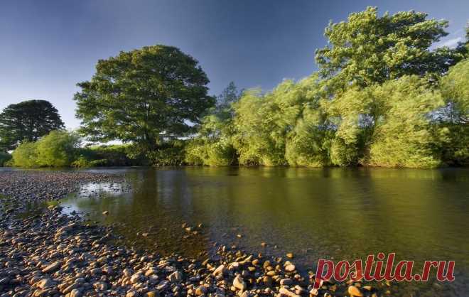 The Wind in the Willows | Flickr - Photo Sharing!