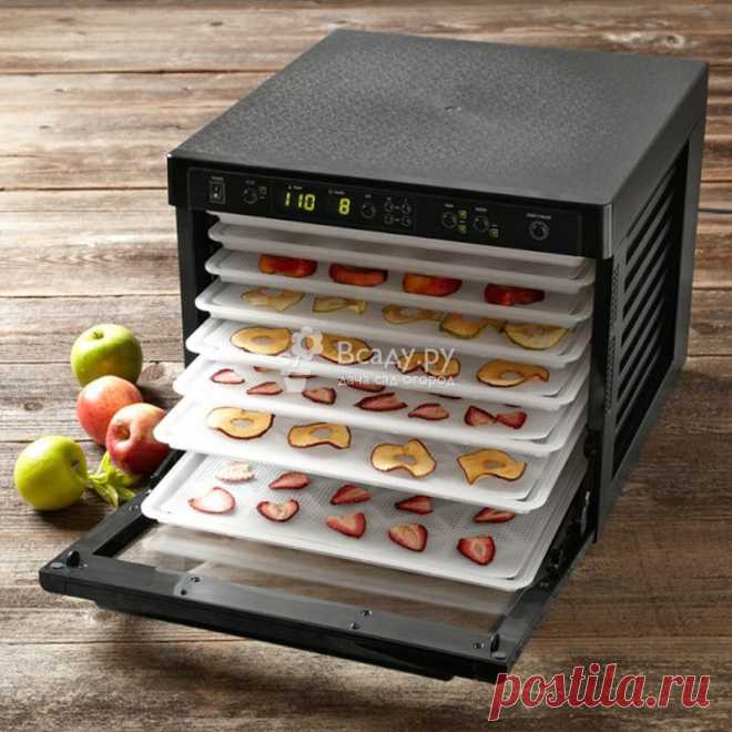Сушка для овощей и фруктов, какую выбрать, отзывы Сушилка для овощей и фруктов , как выбрать сушилку для овощей и фруктов  для заготовок? Отзывы покупатаелей про конвективные и инфракрасные сушилки