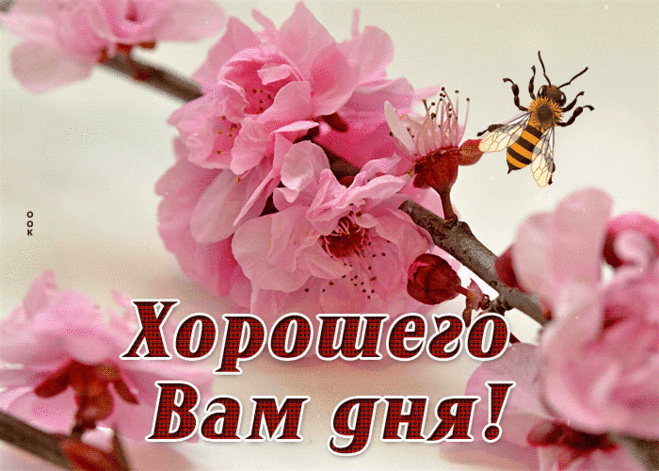 Выразительная гиф-открытка, хорошего денечка