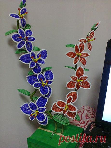 Одноклассники