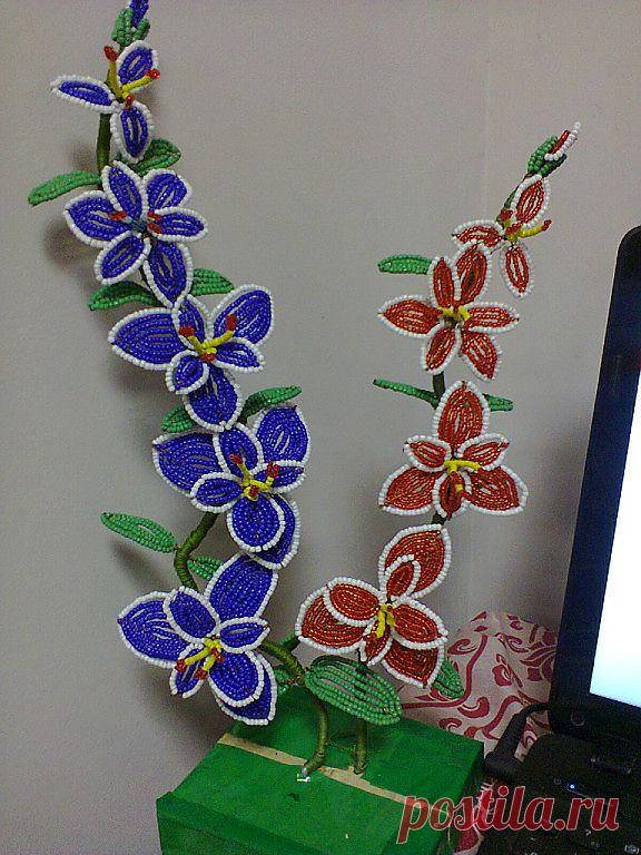 Одноклассники