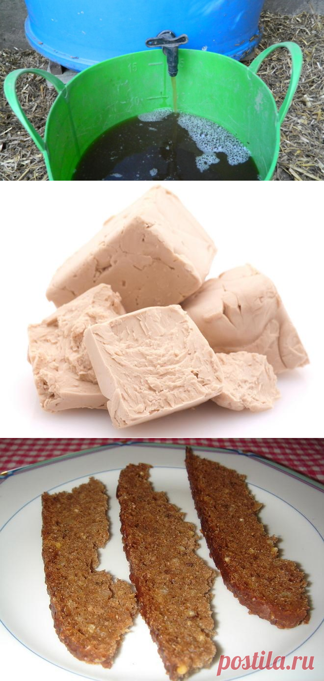 Подкормка огурцов народными средствами – 5 "работающих" рецептов