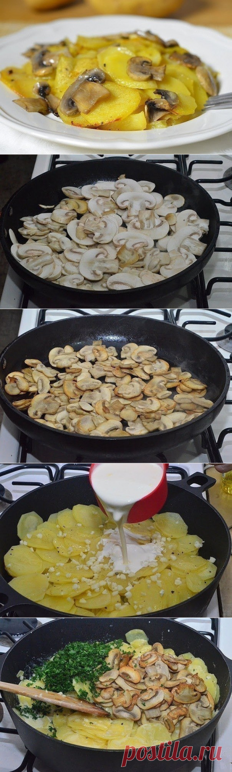 Картошка с грибами в сливках