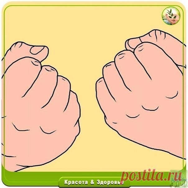 Ежедневное сжатие пальцев рук в кулак. Простое упражнения для здоровья сердца и восстановления артериального давления

Все мы хотим быть здоровы и чувствовать себя бодро и молодо. Но для того, чтобы добиться желаемого, необходимо приложить усилия. Ведь кто, если не мы сами позаботимся о себе и своем самочувствии?

Сегодня мы бы хотели рассказать о простом упражнение, которое заключается в ритмичном сжатие и расслабление пальцев рук в кулаки.

Как вы уже могли догадаться по...