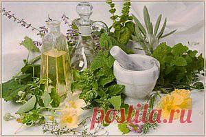 Омолаживающий сбор. | Советы Народной Мудрости