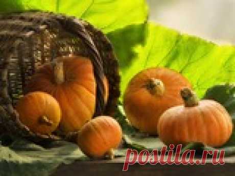 Секреты заготовки тыквы / Асиенда.ру