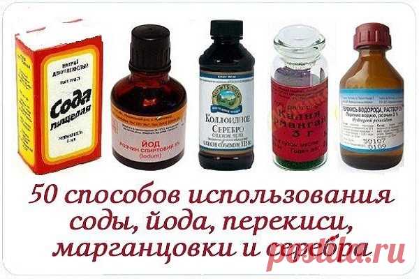 ЗАЩИТИ САД И ОГОРОД ОТ ВРЕДИТЕЛЕЙ И БОЛЕЗНЕЙ ТЕМ, ЧТО ПОД РУКОЙ | Журнал 