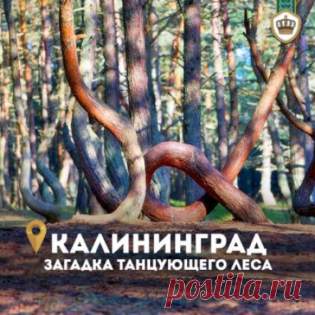 Город, где поют пески и танцуют деревья!