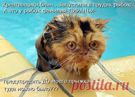вот подстава...