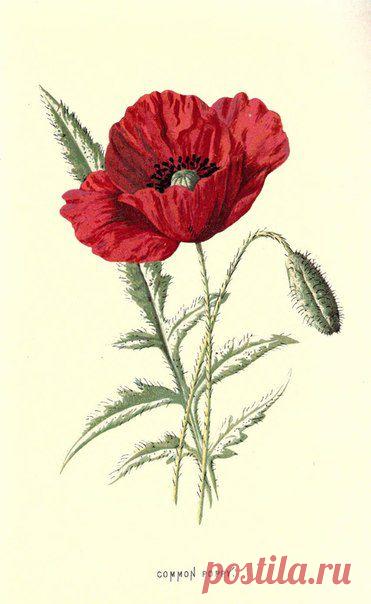 ~ MON PLAISIR ~ Вещи для души. Винтаж,Прованс.