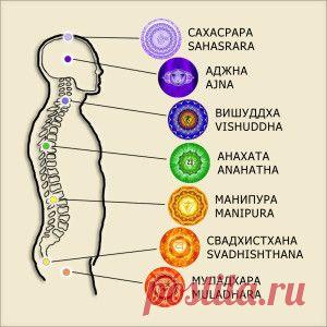 Сколько стоит желание?