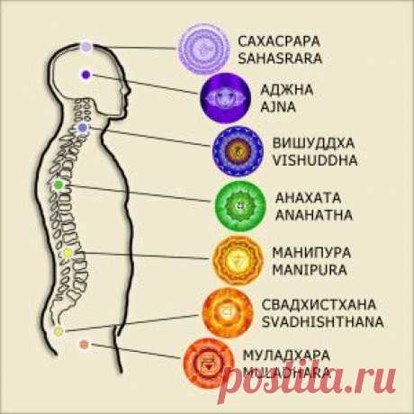 Сколько стоит желание?
