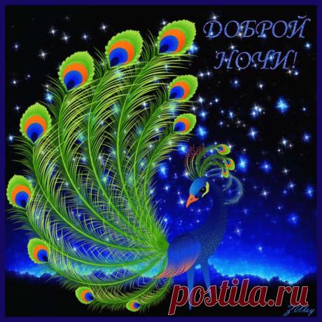 Яндекс.Фотки