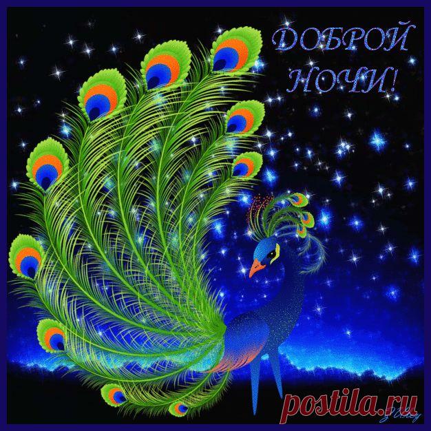 Яндекс.Фотки