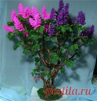 Оксана Дюкова
