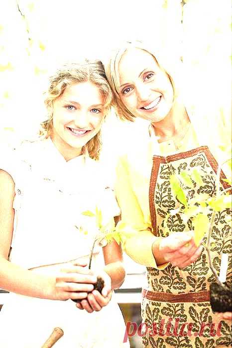 Помидорная рассада...на молоке..