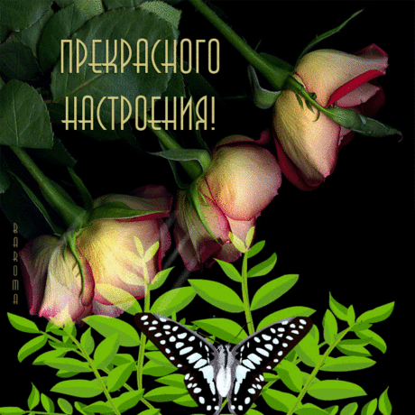 0_1132f5_1ab9bf4_orig (700×700)