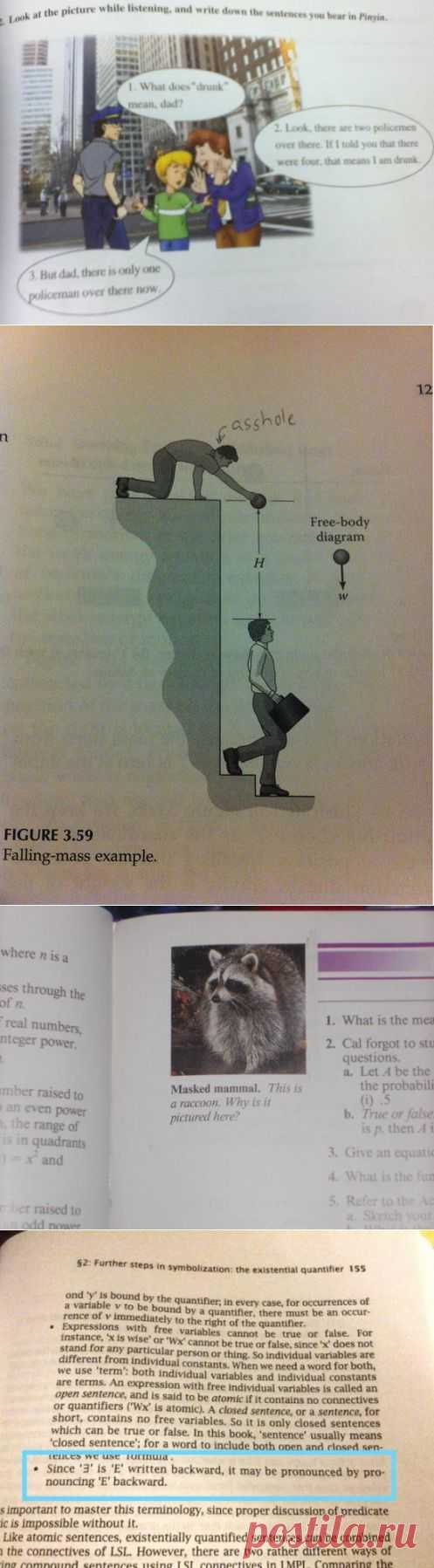 23 Funny Things Spotted In School Textbooks
