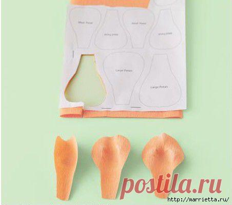 Цветы из гофрированной бумаги